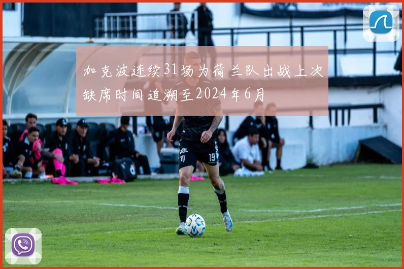 加克波连续31场为荷兰队出战上次缺席时间追溯至2024年6月